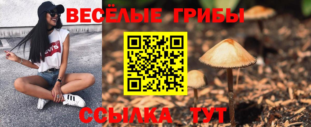 Майский  Псилоцибиновые грибы мухоморы  закладка  Вход с VPN 